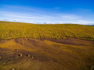 Aerial view of forest in the far East, Russia