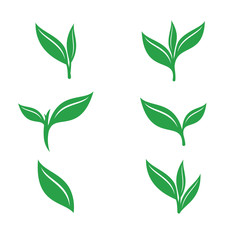 Set Of Leaf Tea vector icons