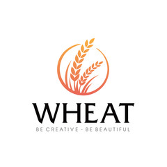 Wheat rice agriculture logo Inspiration vector