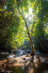 Waterfall green forest river stream landscape ,Waterfall hidden in the tropical jungle at National Park,Thailand.