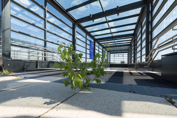 Flughafen BER (Berlin)