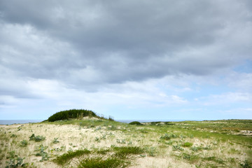 Landscape of French Atlantic coast. Green grass on sandy hill near beach on the shore of  the Bay of Biscay. Silver Coast of France