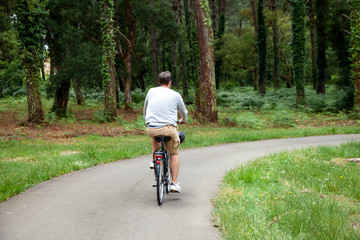 Fototapeta premium Man riding a bicycle in the summer park. Cyclist in beige shorts. Cycle path. View from the back. Active lifestyle