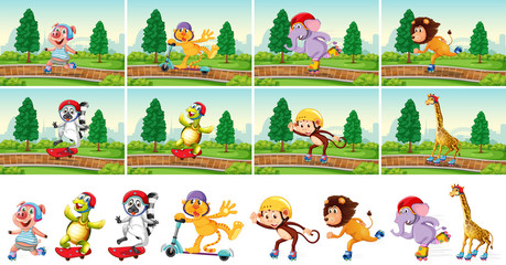 Animal playing in the park