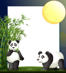 Panda and bamboo border template