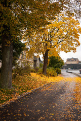 Naklejka premium Jesienna droga