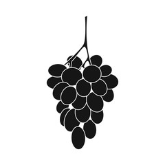 Vector design of bunch and grape sign. Set of bunch and wine stock symbol for web.