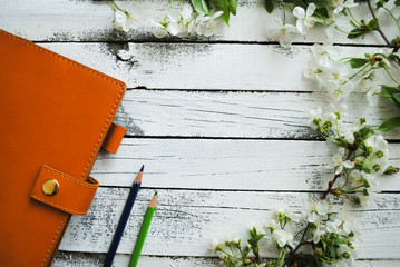 Orange notebook and multicolored two pencils lie on a wooden white background between the branches with the flowers of cherry