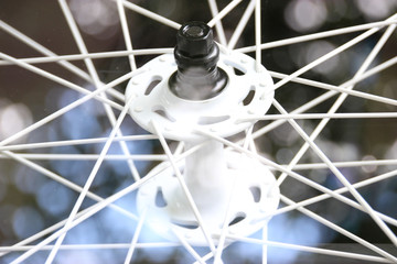 Fahrrad Speiche