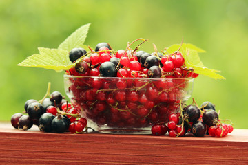 A bowl with red and black currant