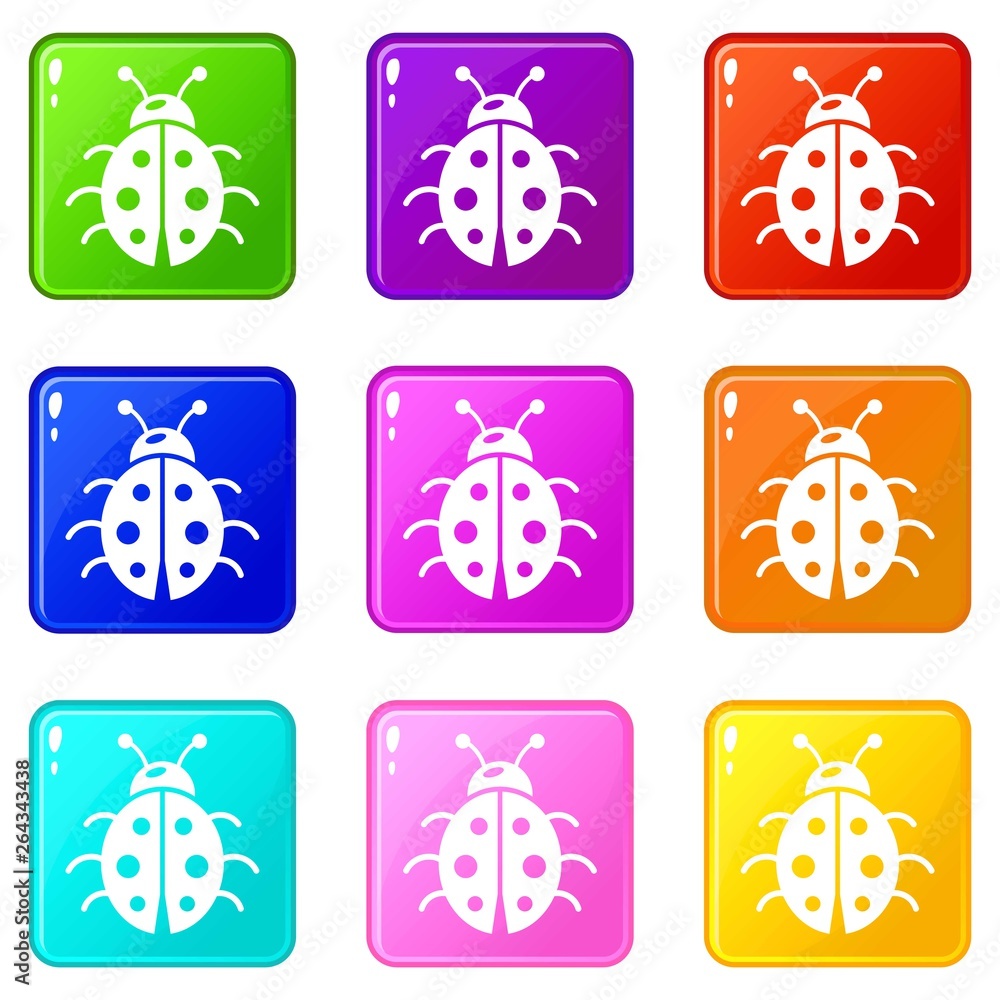 Poster ladybug icons set 9 color collection isolated on white for any design
