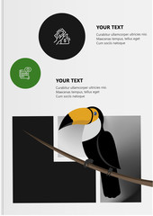 Description of the bird toucan and habitat