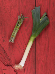 variety of prebiotic foods, asparagus, leeks for gut health