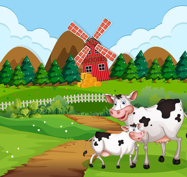 Cow in farmland scene