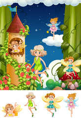 Fairy in the castle