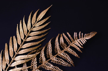 Golden branches of tropical plants on a black background.