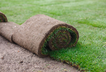 Unrolling Sod for a New Lawn