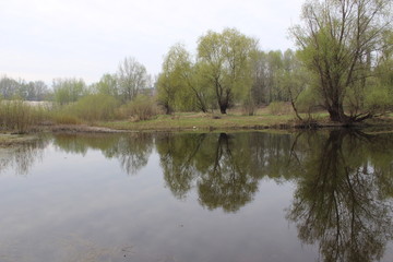 Fototapeta na wymiar river landscape water