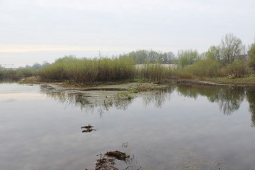 river landscape water