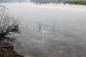 Fototapeta premium river landscape water