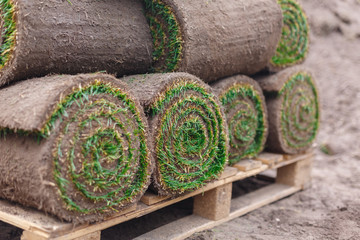 laying lawn palette.  New Lawn