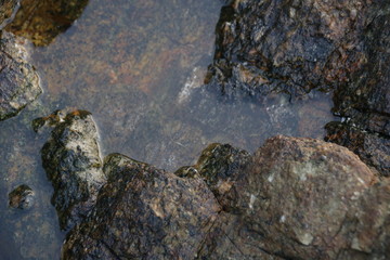 Still water in the rock by the beackh on Summer Holidays