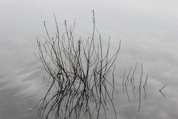 river landscape water