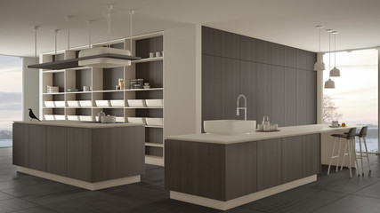 Minimalist luxury expensive white and wooden kitchen, island, sink and gas hob, open space, panoramic window, marble ceramic floor, modern interior design architecture concept idea