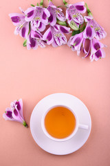 Fototapeta na wymiar Beautiful flowers of astromeria. Herbal tea in a white cup and a white saucer on a pink background