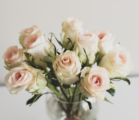 Close up of pale pink roses in glass vase against neutral background (selective focus)