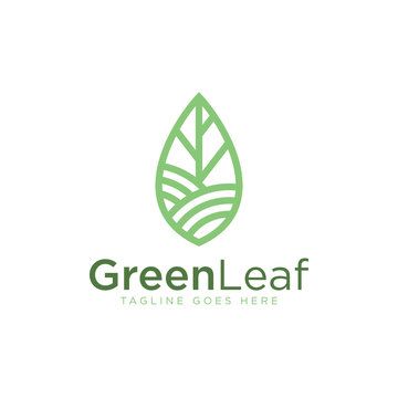 Green Leaf logo - Vector logo template