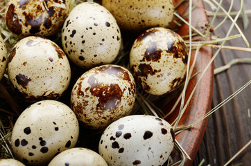 Obraz premium Fresh organic quail eggs in clay plate on wooden rustic kitchen table. Space for text