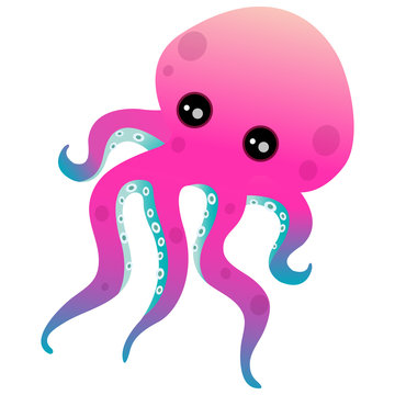 Small octopus swim under the sea