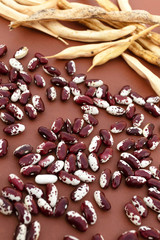 Soybean beans close-up on brown background. Source of protein, vegetarian.