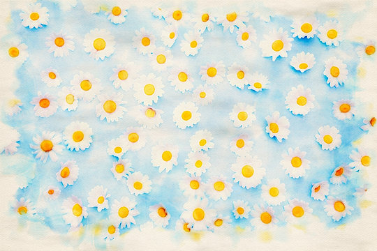 beautiful daisies on an blue background