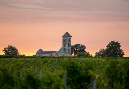 Sunset over the vineyards of Montagne near Saint Emilion. Gironde, Aquitaine. France