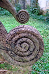 spirales de bois