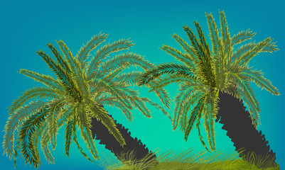 Obraz na płótnie Canvas green two palm trees on blue background