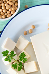 fresh tofu cheese