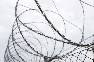 Fence with a barbed wire