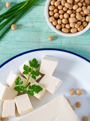 fresh tofu cheese