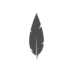 Feather graphic design template vector isolated