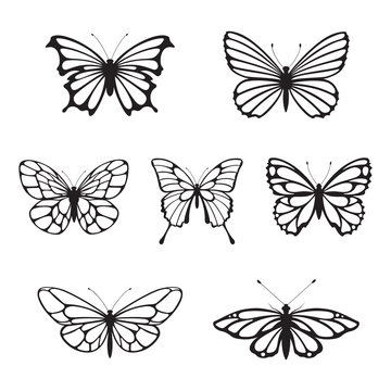 Butterfly black 2