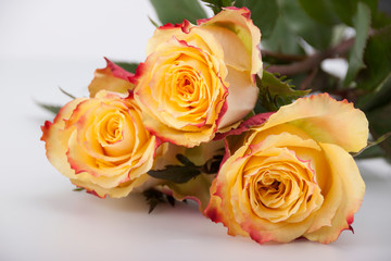 Three yellow-red roses