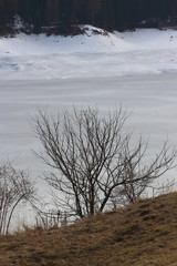 the lake is frozen over 