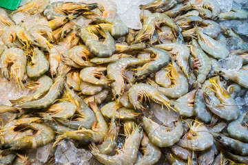 Giant Prawn fresh form sea morning market THAILAND.