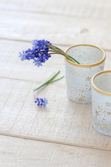 Obraz na płótnie Canvas Bright blue still life scene with tiny spring flowers in blue vases