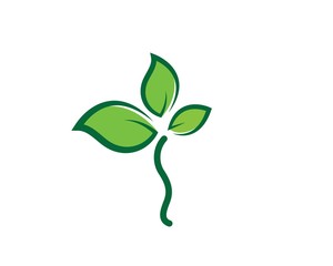 green leaf ecology nature element vector icon of go green