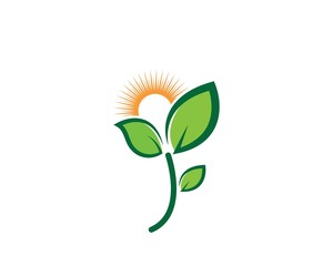 green leaf ecology nature element vector icon of go green