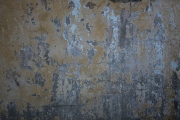 textured wall of the house